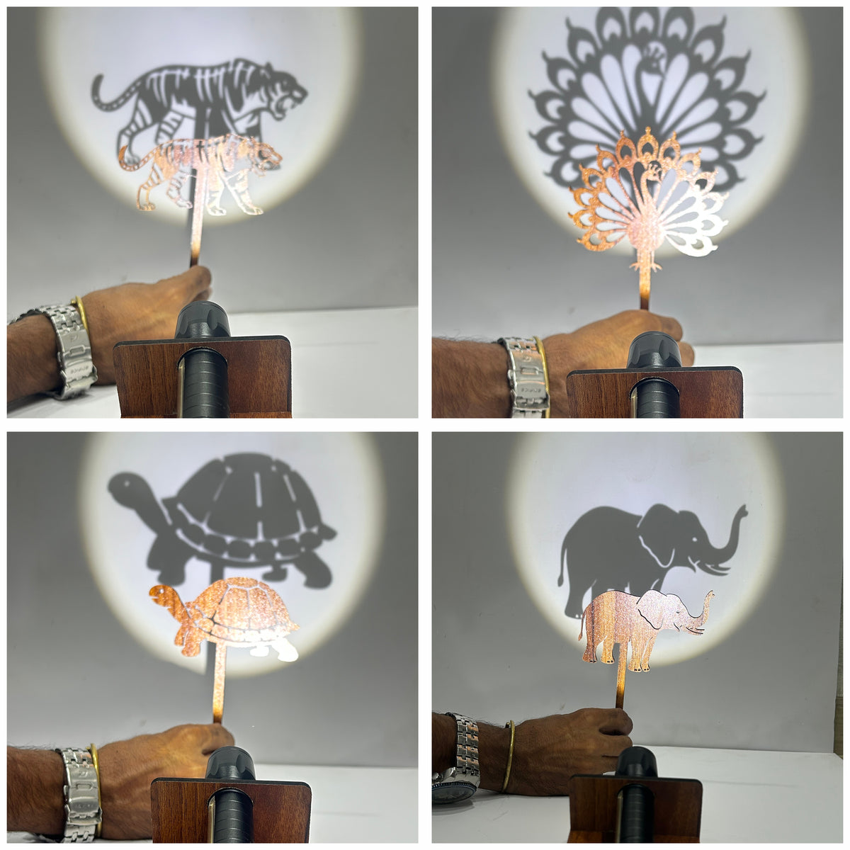 Magical Forest Storytelling & Shadow Puppet Theatre